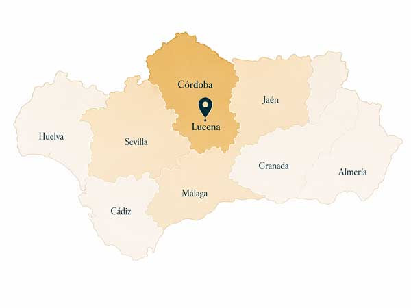 MAPA-DE-ANDALUCIA